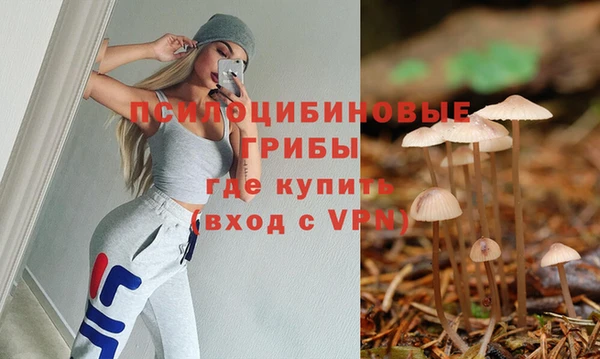 наркотики Алексин