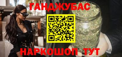 сатива Гай