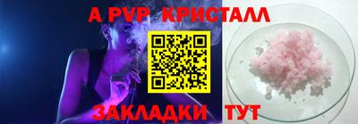сатива Гай